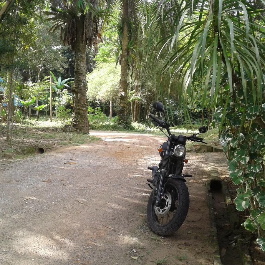 Suan Bang Bon Guest House Plai Phraya Екстер'єр фото