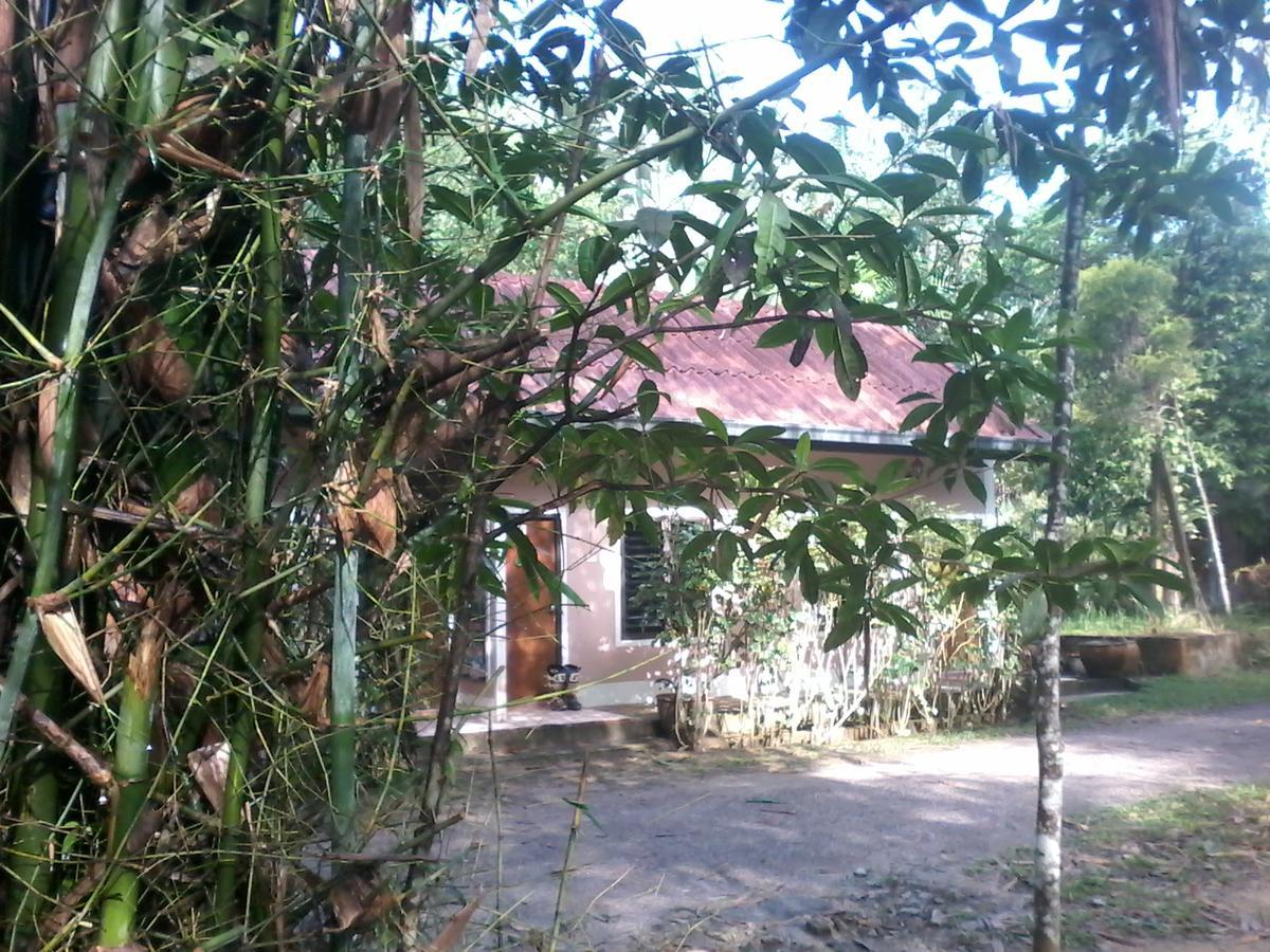 Suan Bang Bon Guest House Plai Phraya Екстер'єр фото